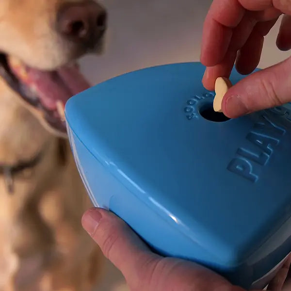 Roolo Interactive Treat Dispenser Dog Toy