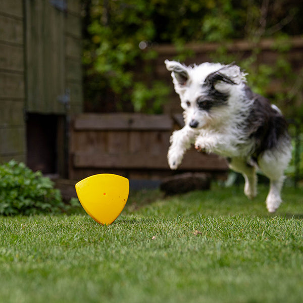 Roolo Mini Interactive Treat Dispenser Dog Toy
