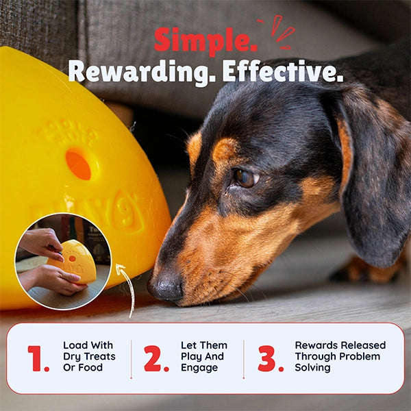 Roolo Mini Interactive Treat Dispenser Dog Toy