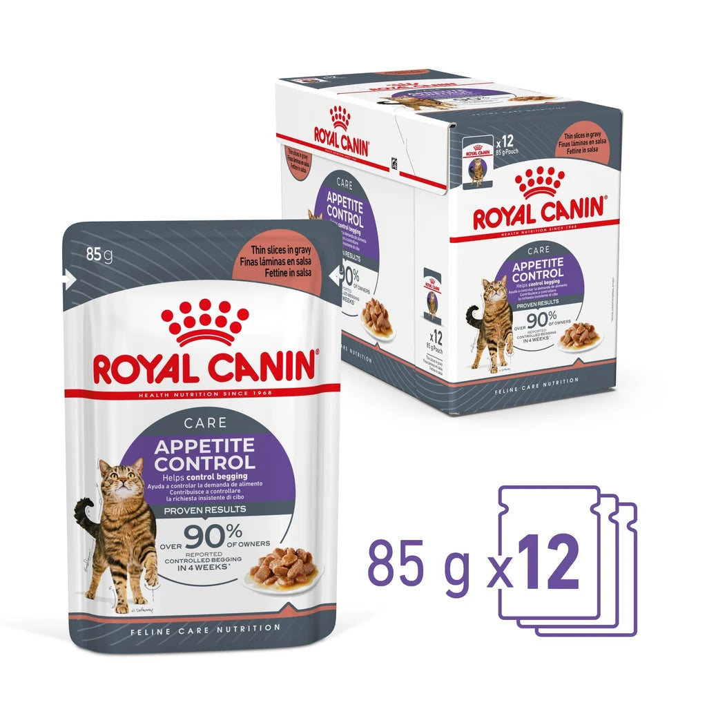 Royal Canin Appetite Control Wet Cat Food Thin Slices In Jelly for Adult Cats, 85g