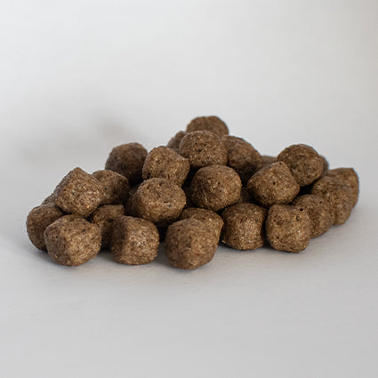 Skinners Field & Trial Salmon & Rice Dry Dog Food for Adult Working Dogs, 15kg
