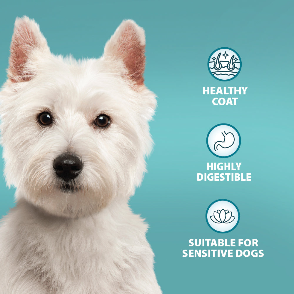 Burns Sensitive Pork & Potato Dry Dog Food for Adult & Senior Dogs, 2kg