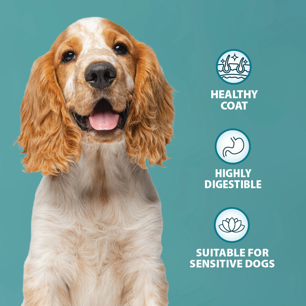 Burns Sensitive Grain-Free Turkey & Potato Dry Dog Food for Adult & Senior Dogs, 2kg