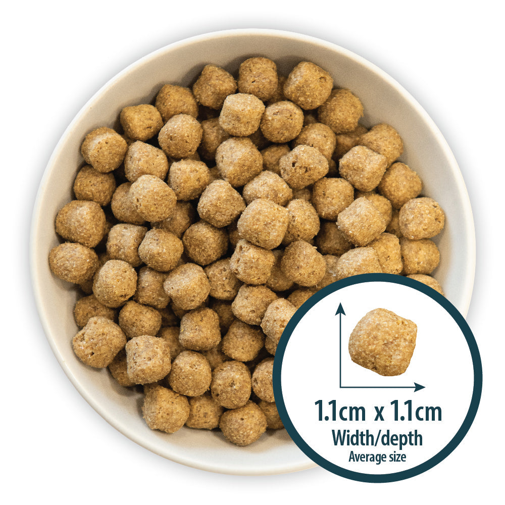 Burns Sensitive Pork & Potato Dry Dog Food for Adult & Senior Dogs, 2kg