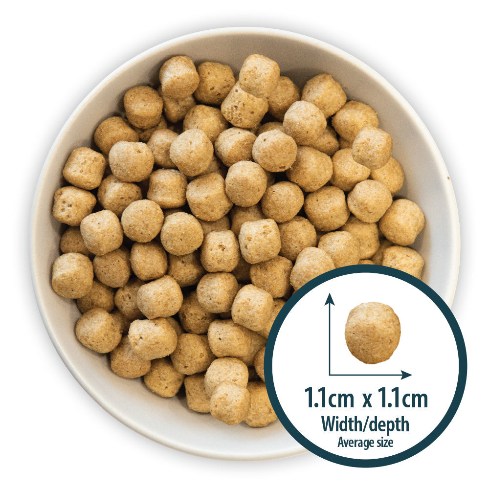 Burns Weight Control Chicken & Oats Dry Dog Food for Adult & Senior Dogs, 2kg