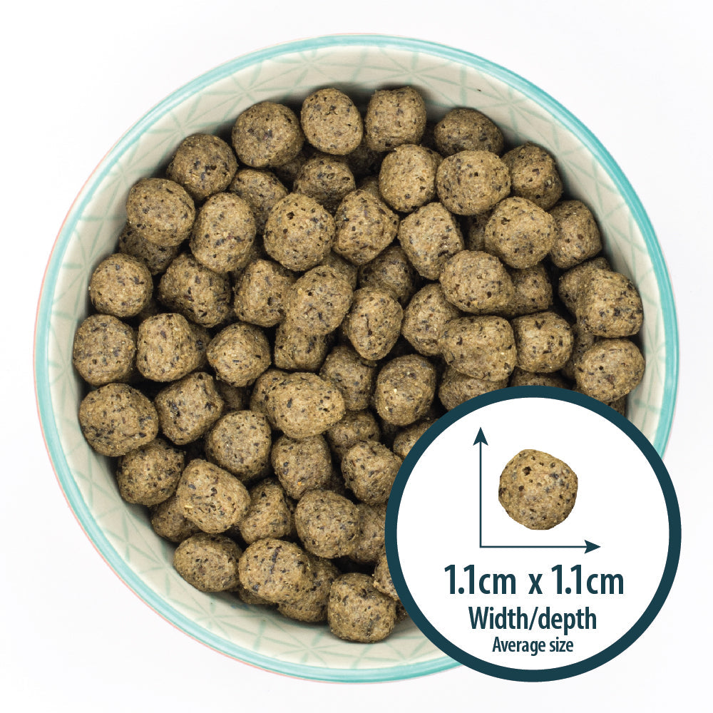 Burns Sensitive Grain-Free Turkey & Potato Dry Dog Food for Adult & Senior Dogs, 2kg