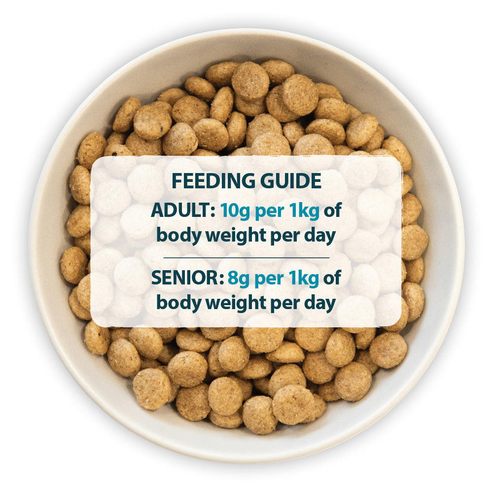 Burns Sensitive Duck & Brown Rice Dry Dog Food for Adult & Senior Dogs, 2kg