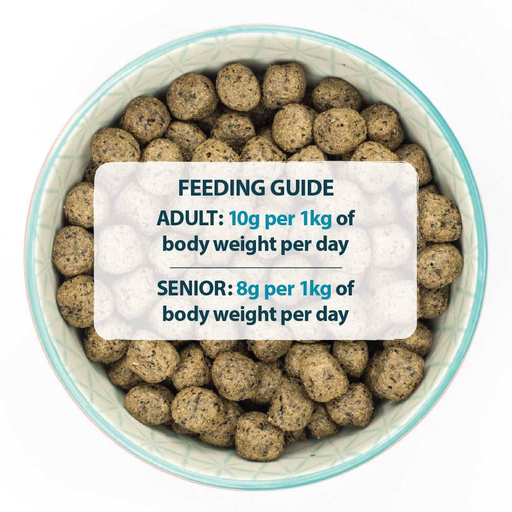 Burns Sensitive Grain-Free Turkey & Potato Dry Dog Food for Adult & Senior Dogs, 2kg
