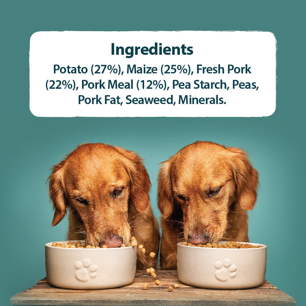 Burns Sensitive Pork & Potato Dry Dog Food for Adult & Senior Dogs, 2kg