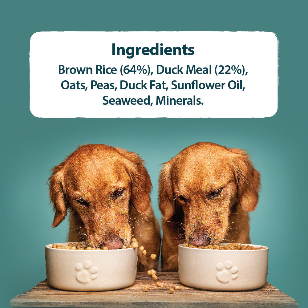 Burns Sensitive Duck & Brown Rice Dry Dog Food for Adult & Senior Dogs, 2kg