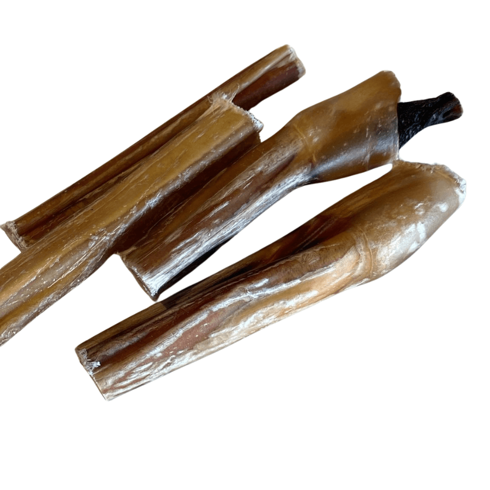 Tip Top Animal 12cm Beef Pizzles Dog Treat