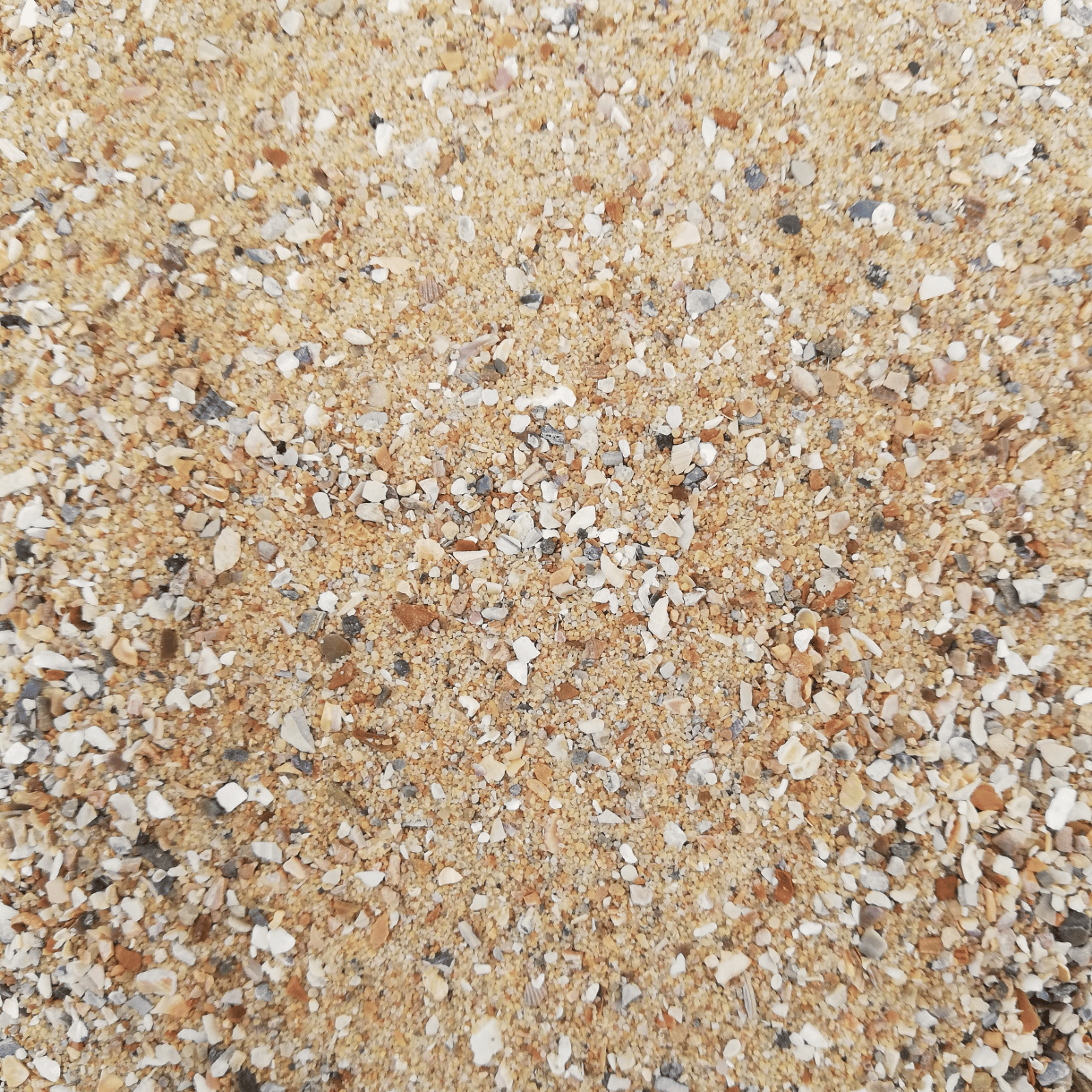 Hadley Oyster Shell Bird Grit & Sand