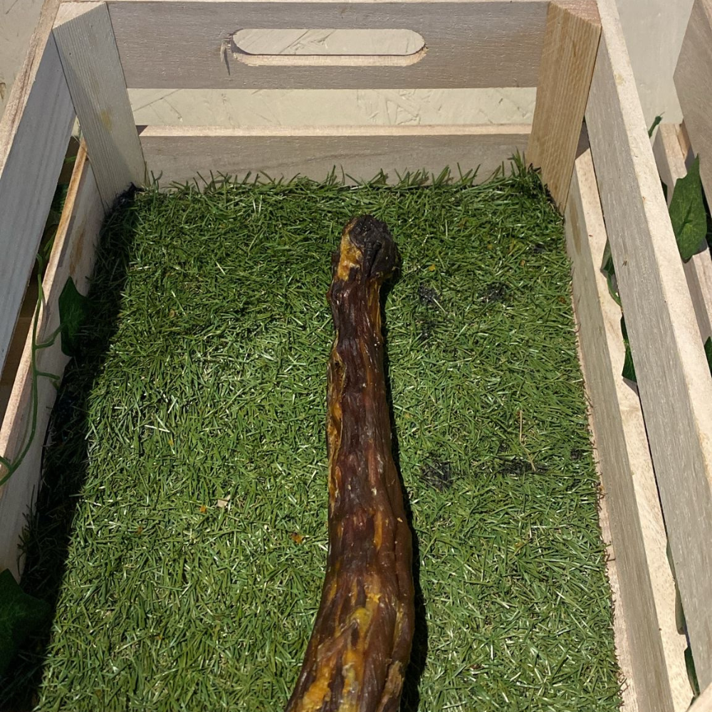 Turkey Necks Dog Treat