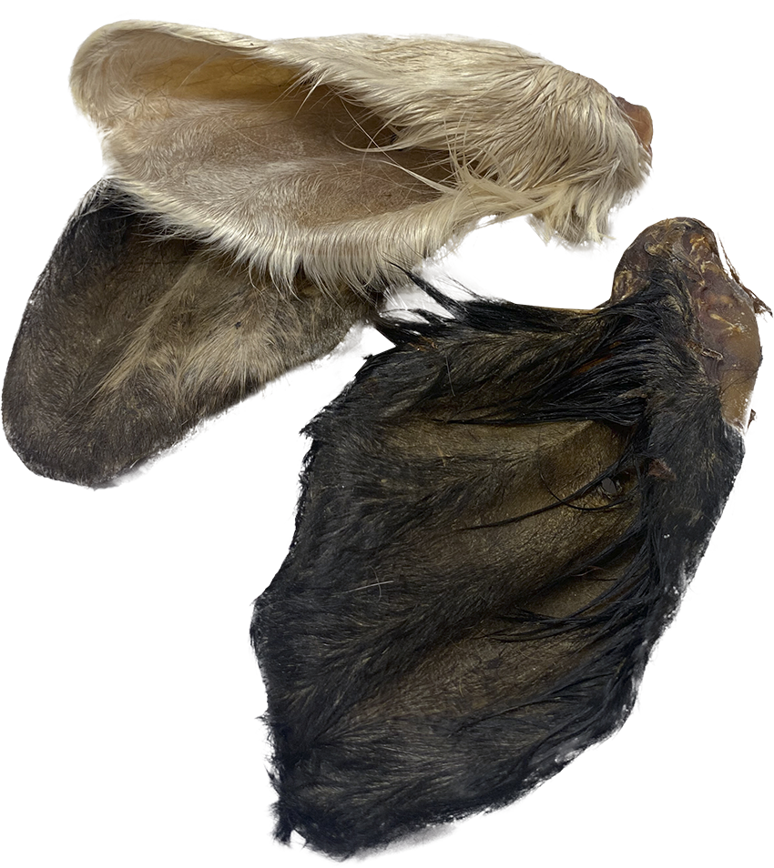 Tip Top Animal Beef Ears with Fur Dog Treat