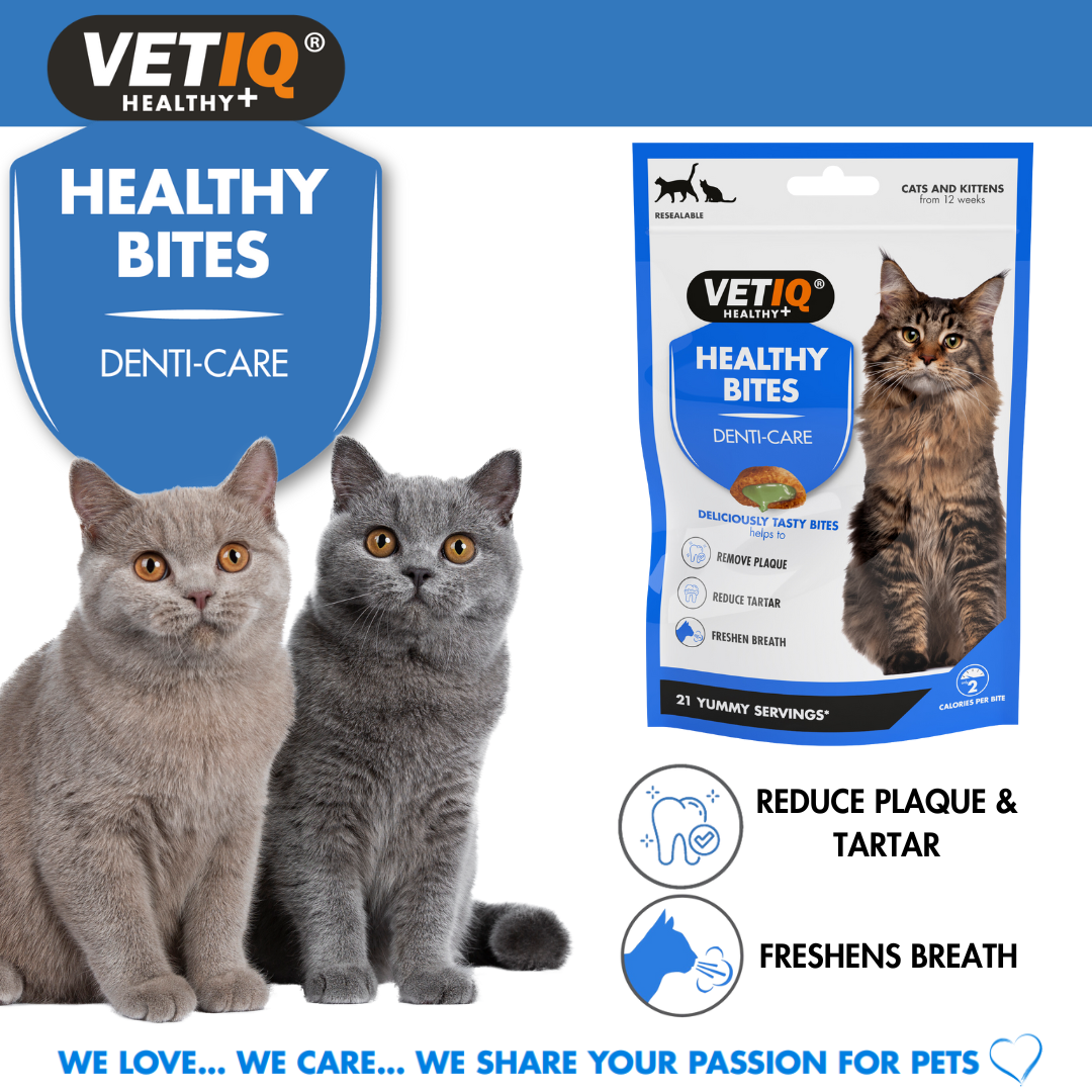 VetIQ Healthy Bites Denti-Care For Cats & Kittens, 65g