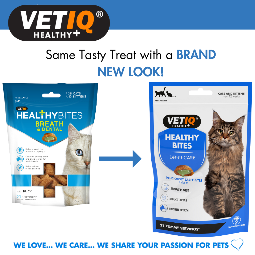 VetIQ Healthy Bites Denti-Care For Cats & Kittens, 65g