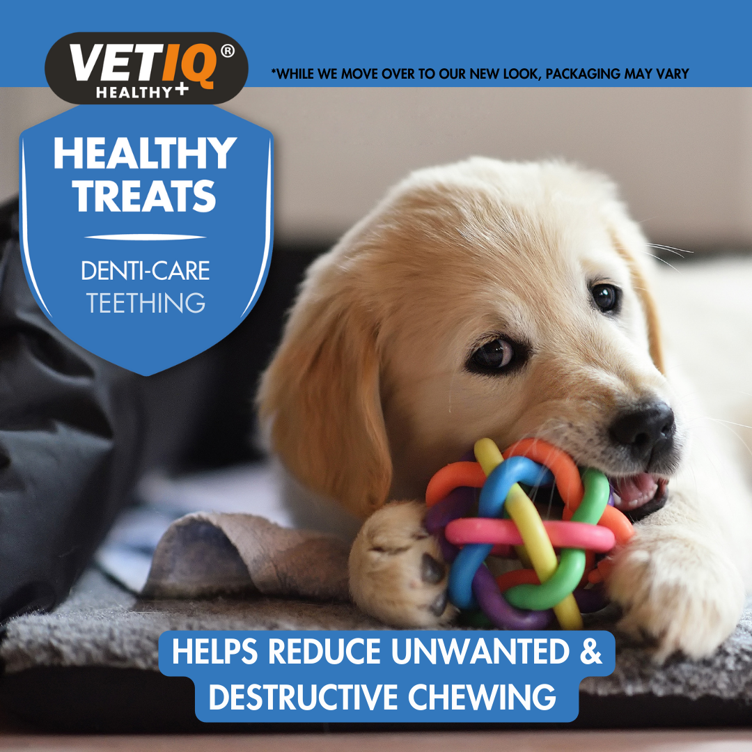 VetIQ Healthy Treats Denti-Care Teething Puppy Treats, 50g