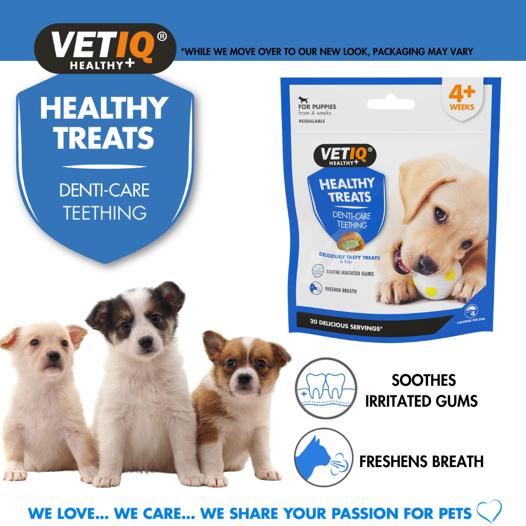 VetIQ Healthy Treats Denti-Care Teething Puppy Treats, 50g