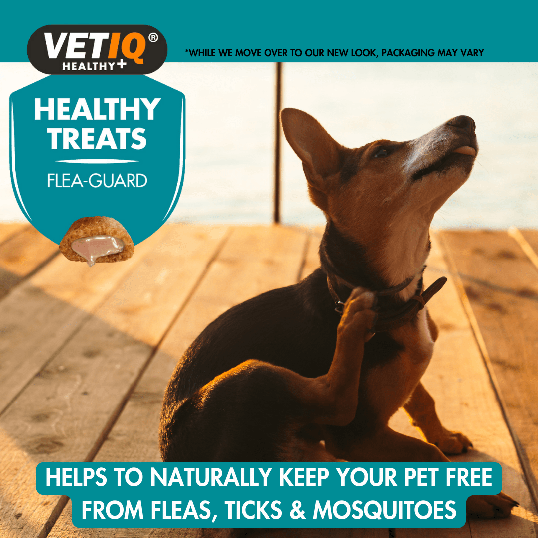 VetIQ Healthy Treat Flea Guard Dog Treats, 70g