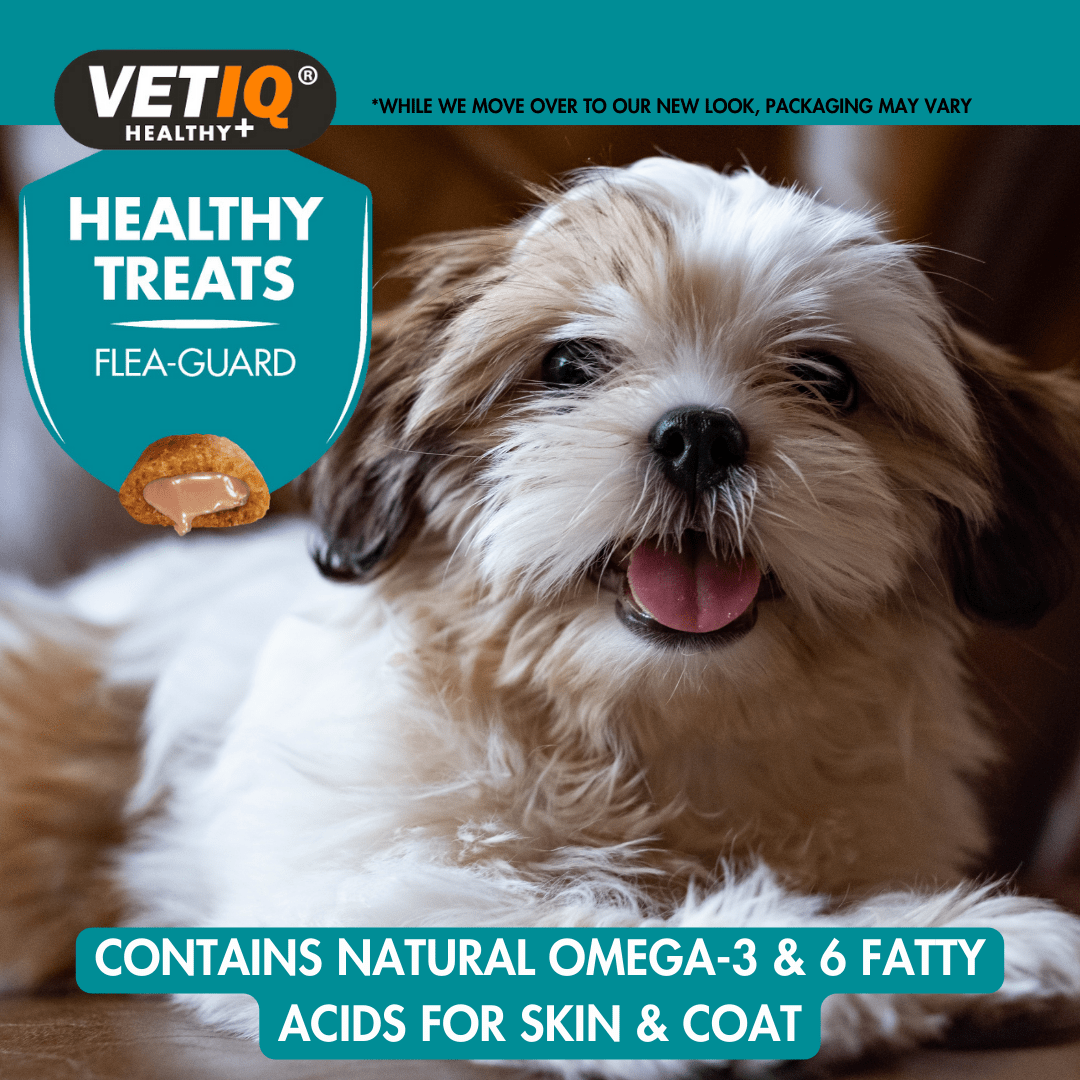 VetIQ Healthy Treat Flea Guard Dog Treats, 70g