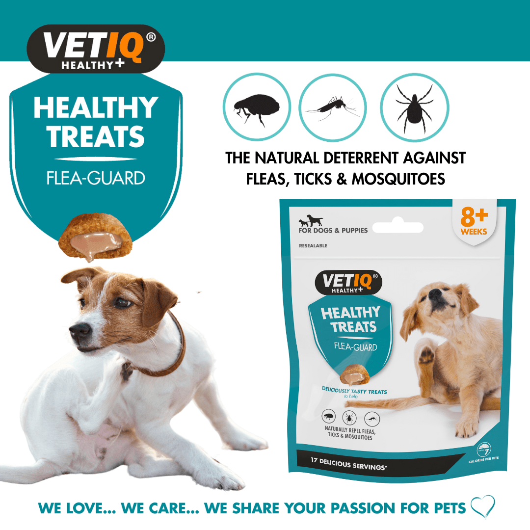 VetIQ Healthy Treat Flea Guard Dog Treats, 70g