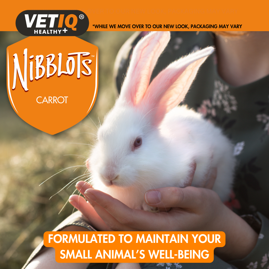 Vet IQ Carrot Nibblots For Small Animals, 30g