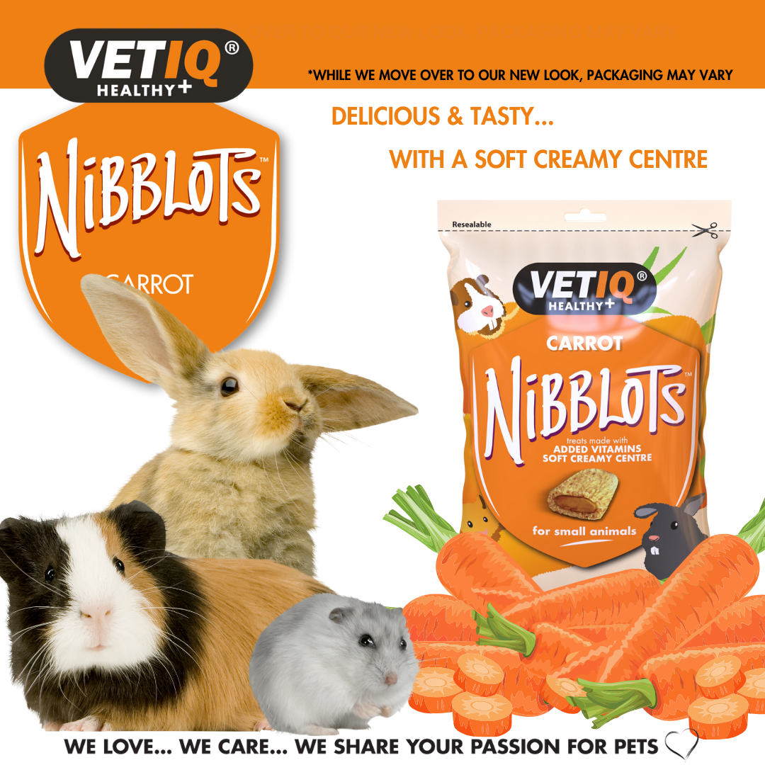 Vet IQ Carrot Nibblots For Small Animals, 30g