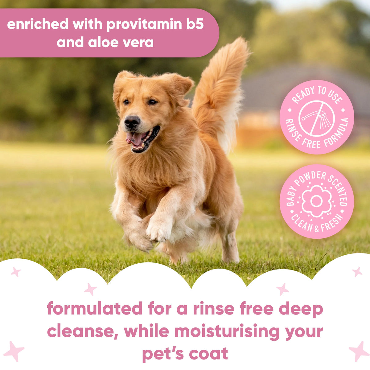 Buddycare Baby Fresh Waterless Dry Dog Shampoo, 200ml