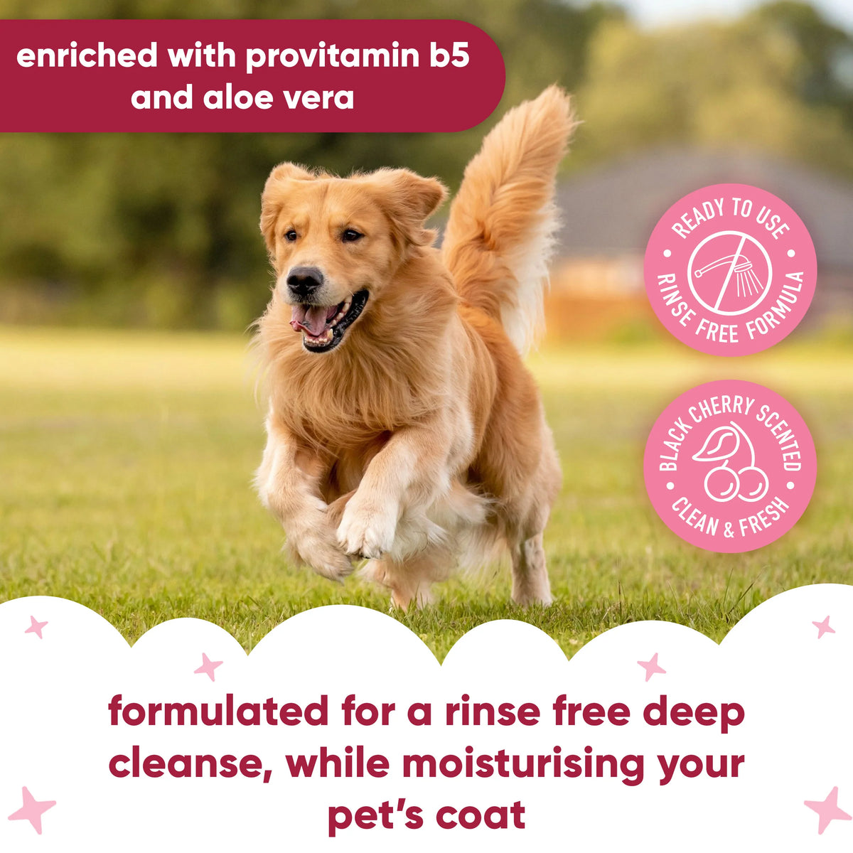 Buddycare Black Cherry Waterless Dry Dog Shampoo, 200ml