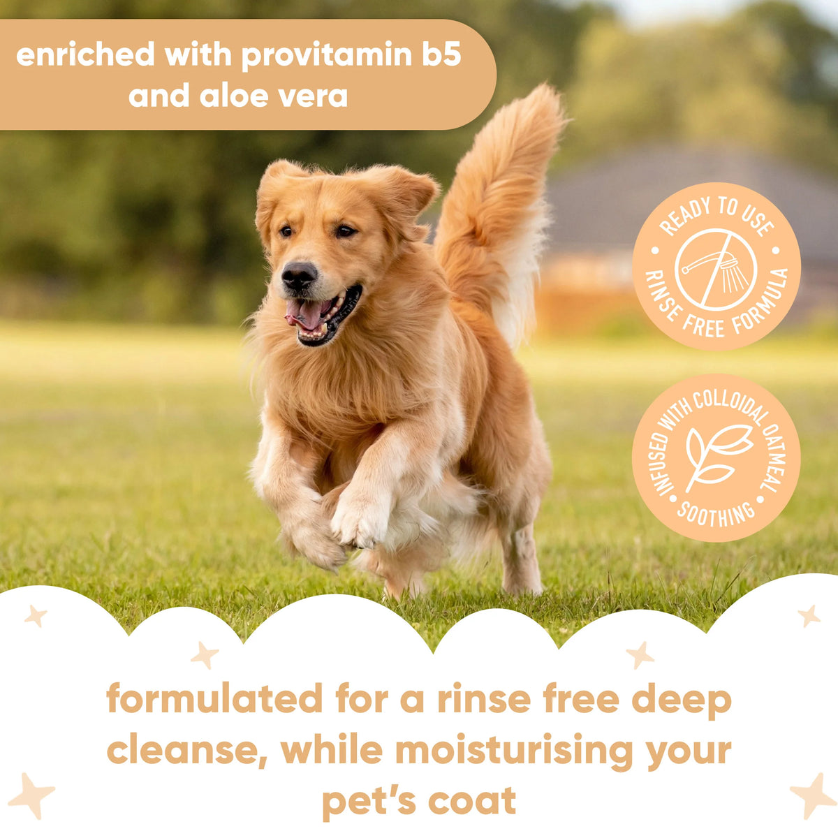 Buddycare Oatmeal Waterless Dry Dog Shampoo, 200ml