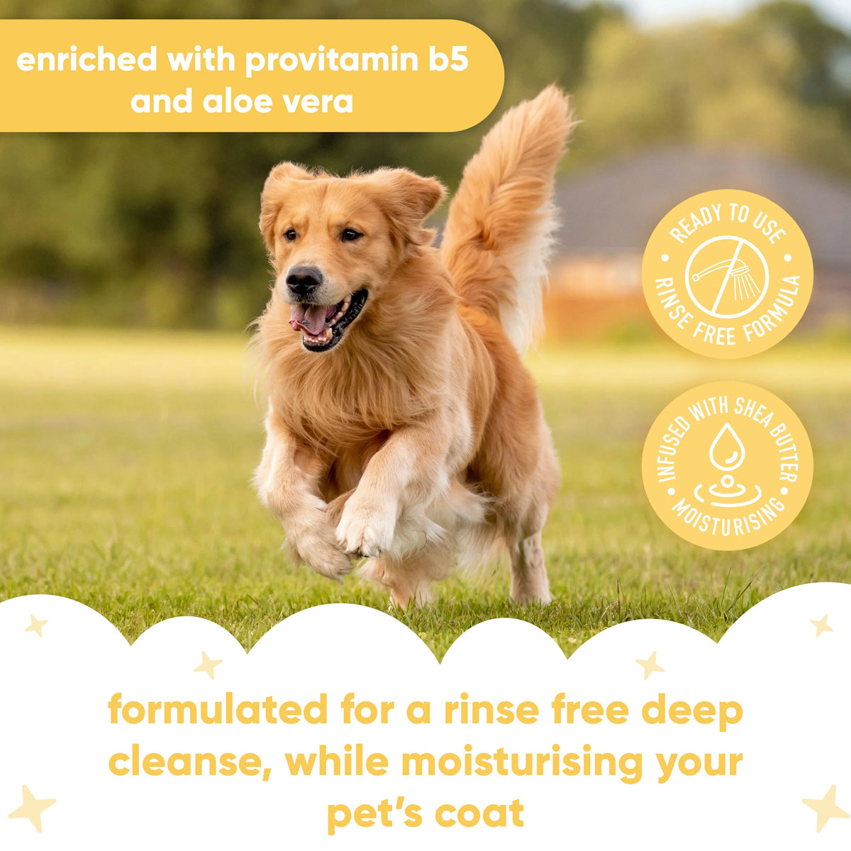Buddycare Vanilla & Shea Butter Waterless Dry Dog Shampoo, 200ml