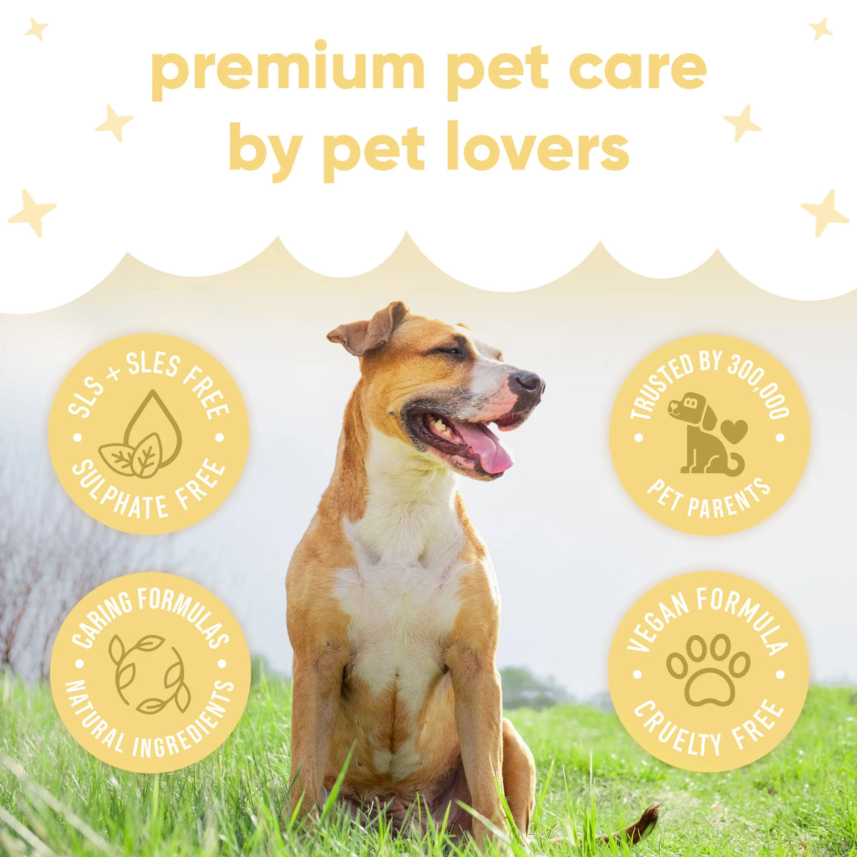 Buddycare Vanilla & Shea Butter Waterless Dry Dog Shampoo, 200ml