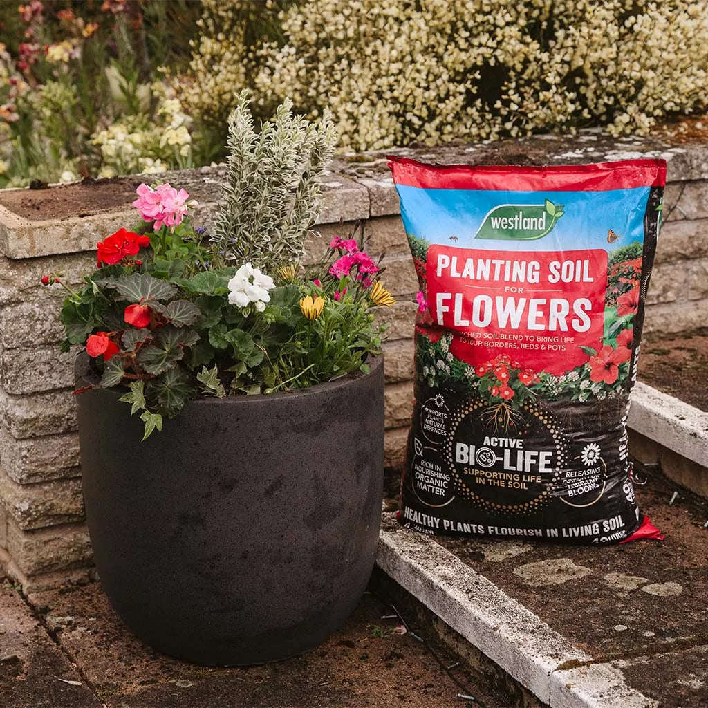 Westland Bio-Life Planting Soil for Flowers, 30L
