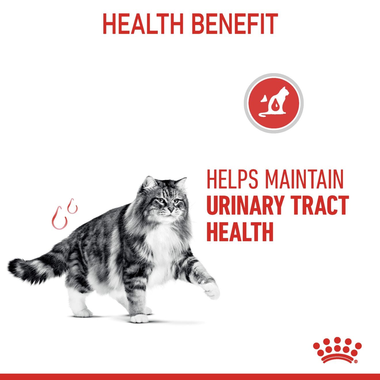 Royal Canin Urinary Care Wet Cat Food Thin Slices In Gravy for Adult Cats, 85g