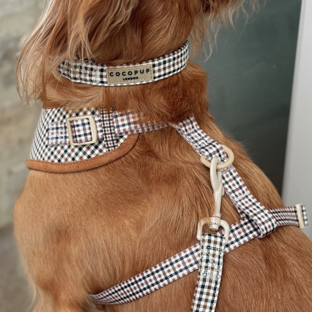 Cocopup Heritage Check Dog Collar