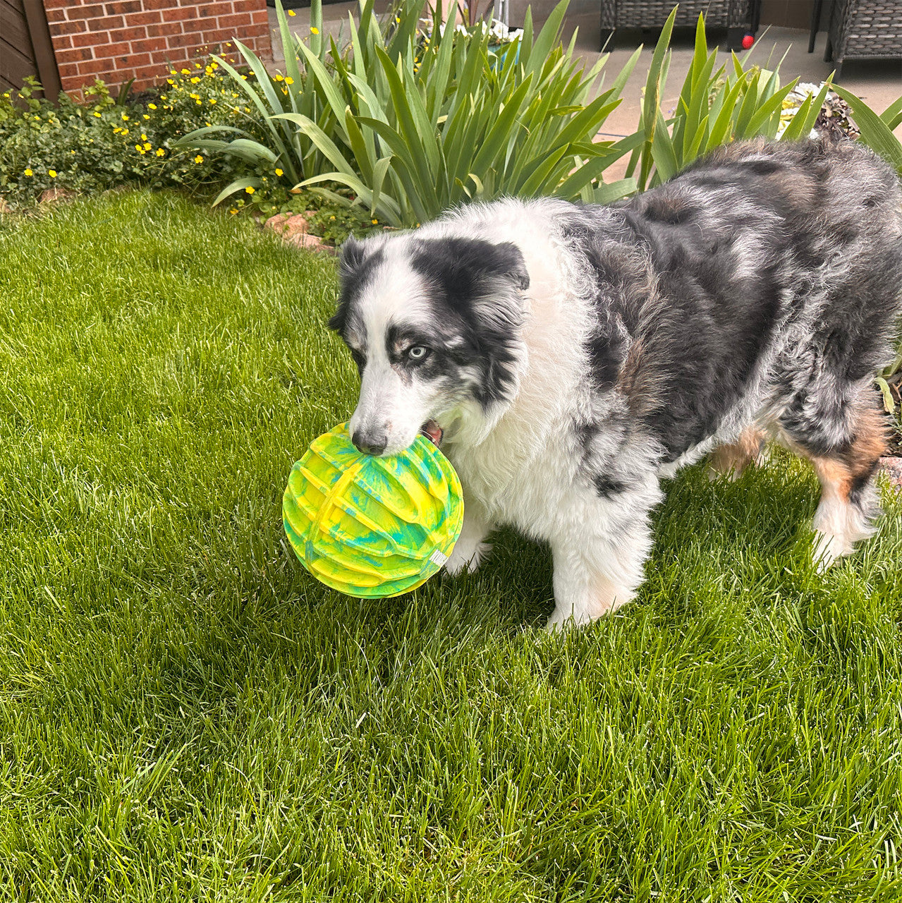 Kong Flexball Sport Ball Dog Toy, Extra Large