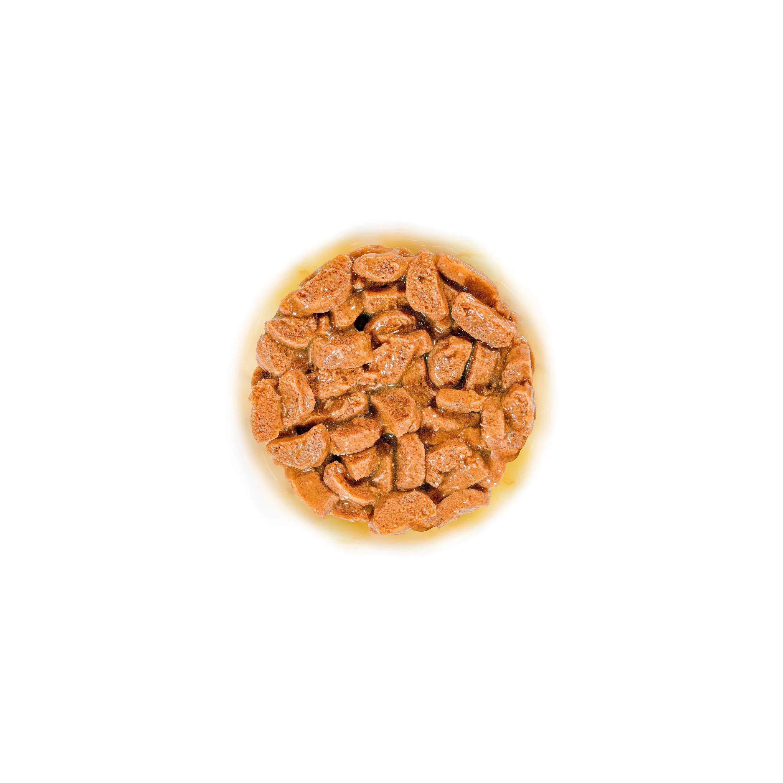 Royal Canin Ageing 11+ Wet Cat Food in Gravy for Senior Cats, 85g