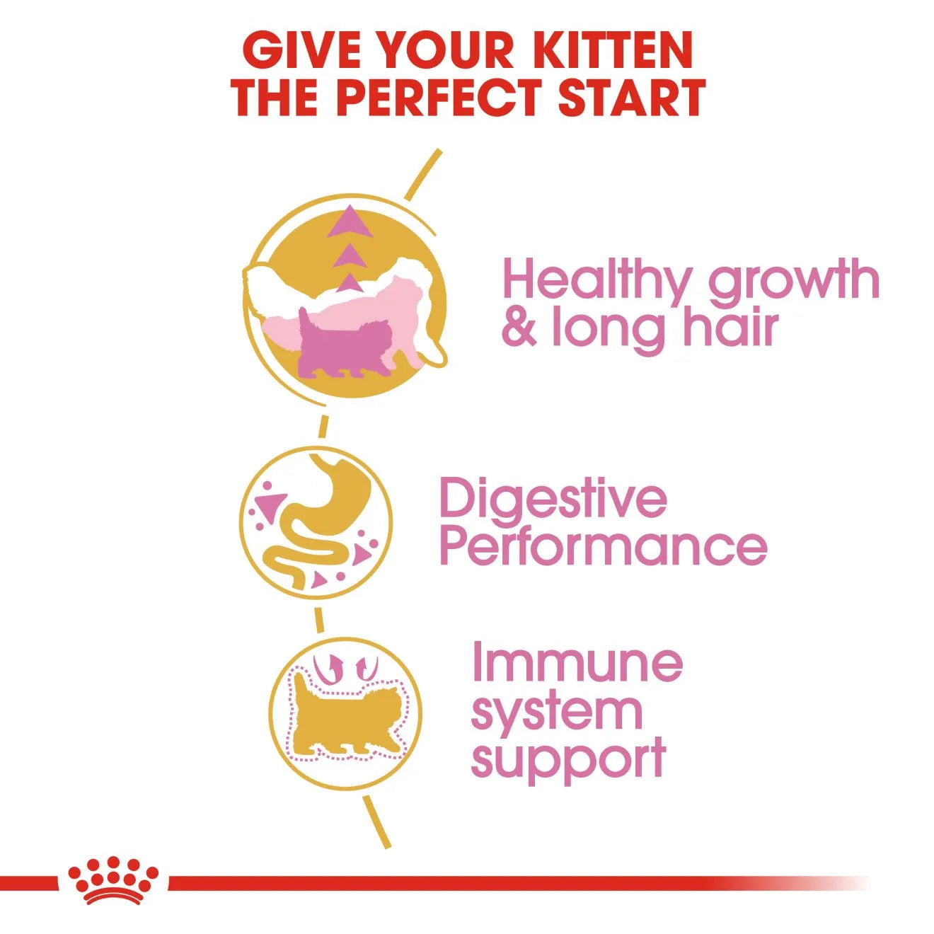 Royal Canin Dry Cat Food for Persian Kittens