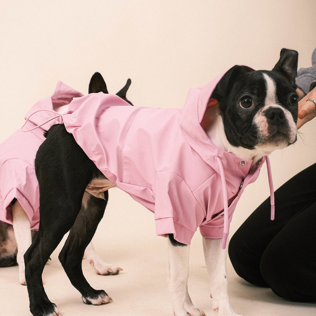 Barc London Pink Waterproof Dog Raincoat