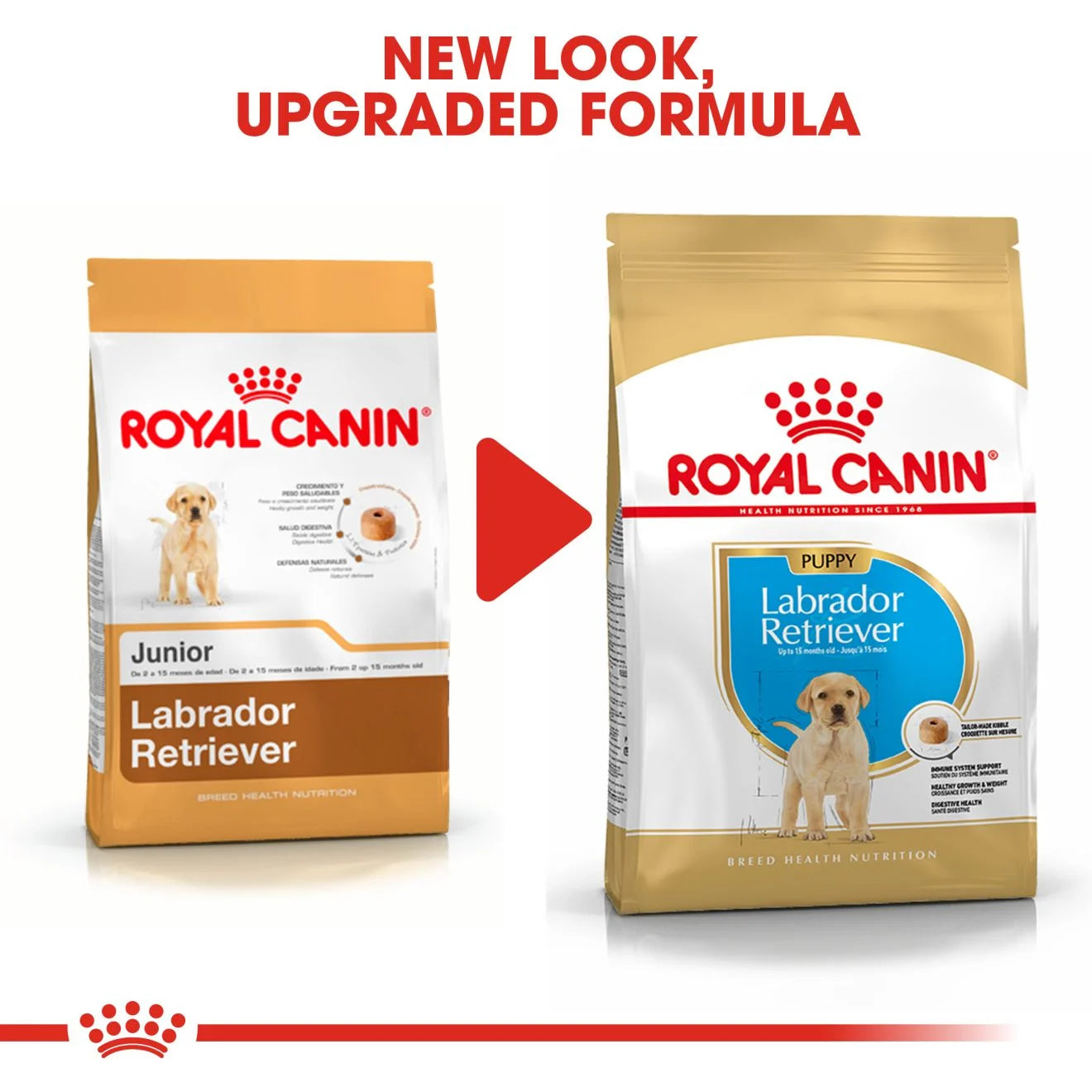 Royal Canin Dry Dog Food for Labrador Retriever Puppies