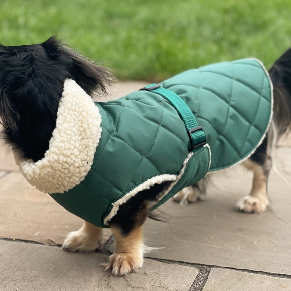 Chic Pup Co Green Waterproof Sherpa-Lined Dog Coat for Dachshunds
