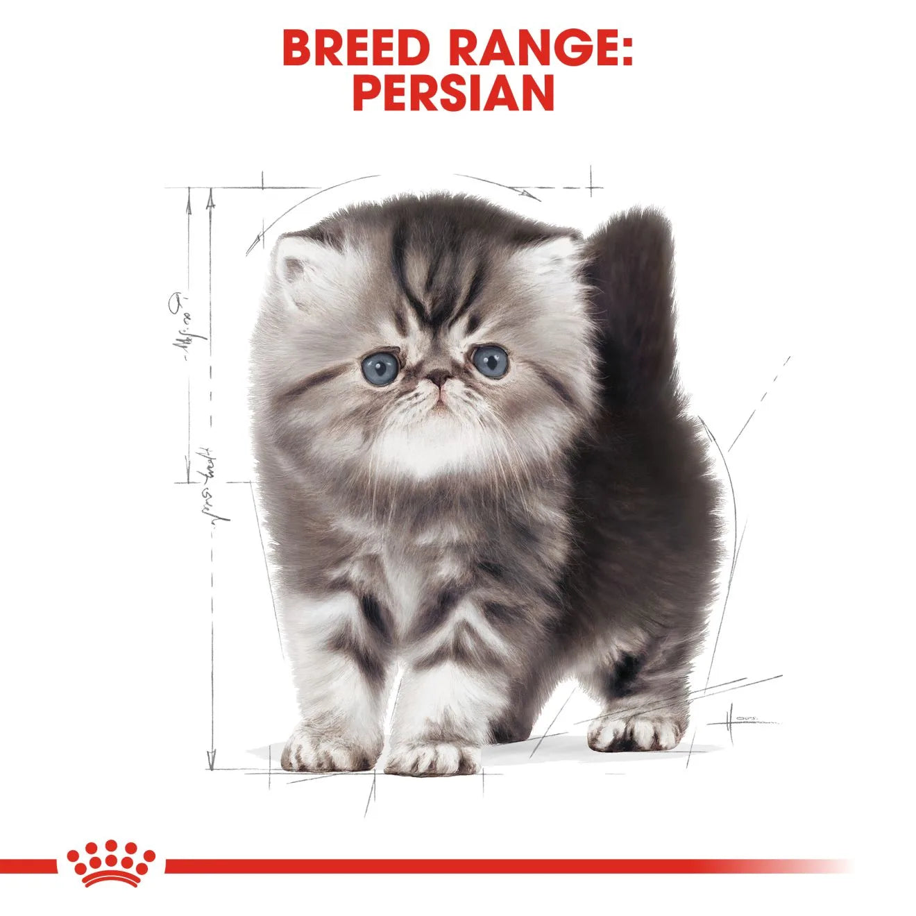 Royal Canin Dry Cat Food for Persian Kittens