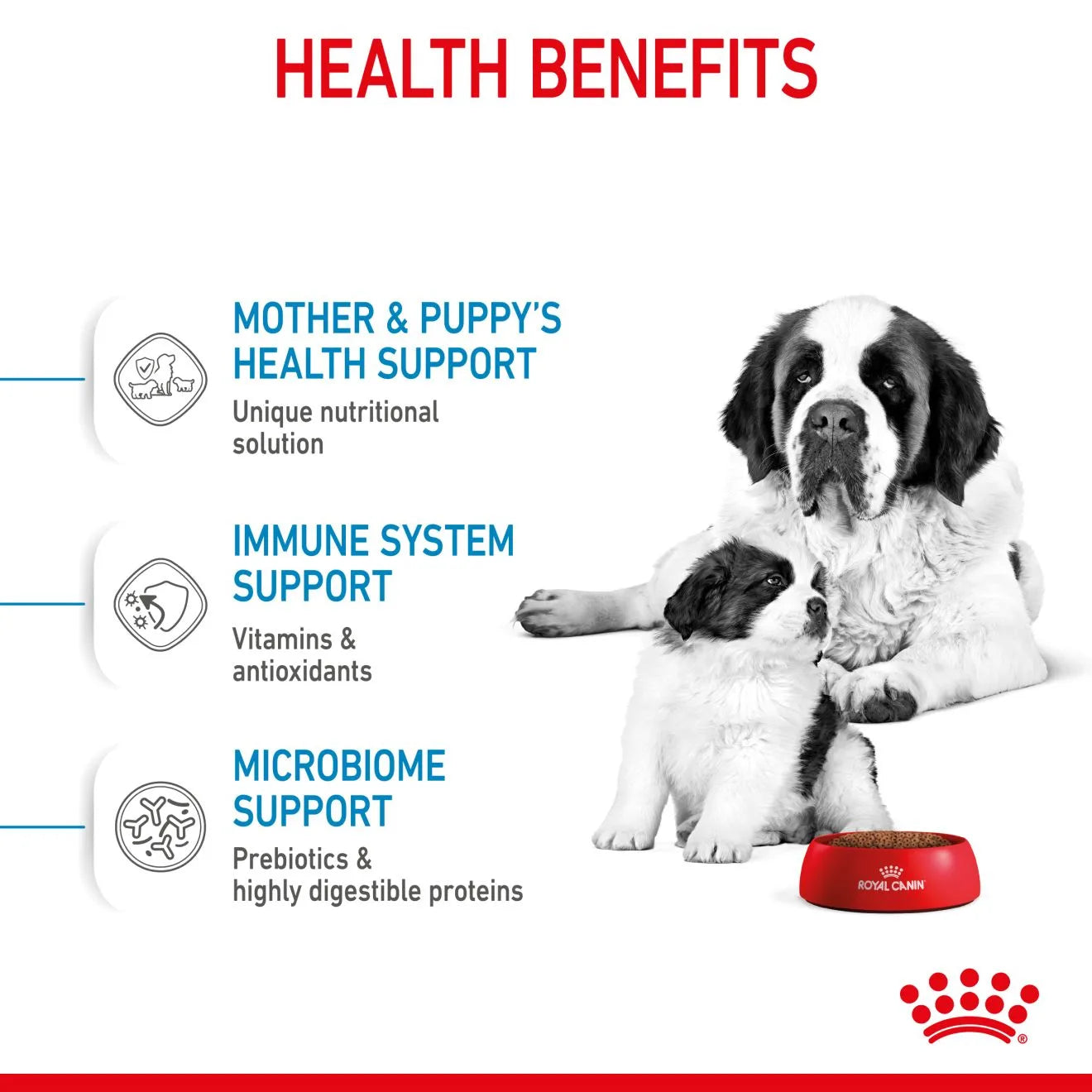 Royal Canin Starter Dry Dog Food for Extra Large Breed Mother & Babydog, 15kg