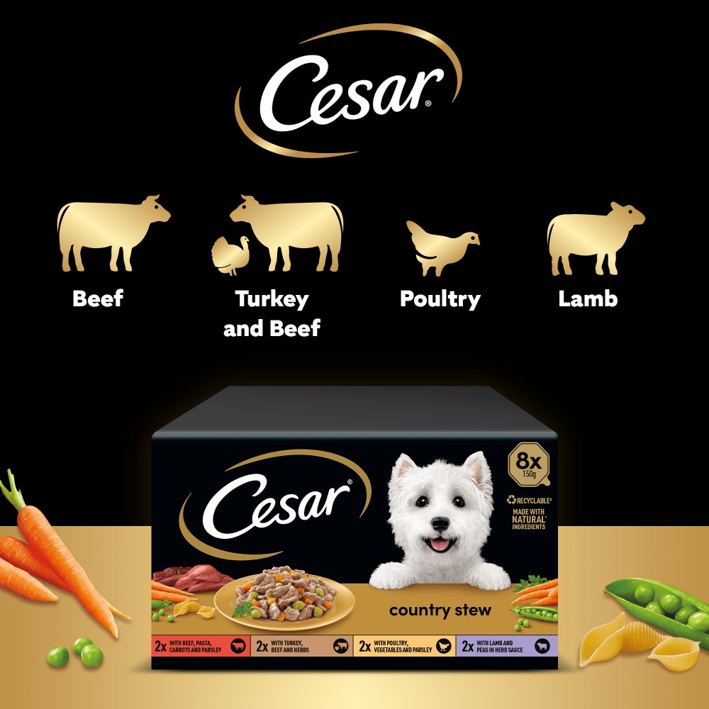 Cesar Country Stew Variety Pack Wet Dog Food for Adult Dogs, 8 x 150g