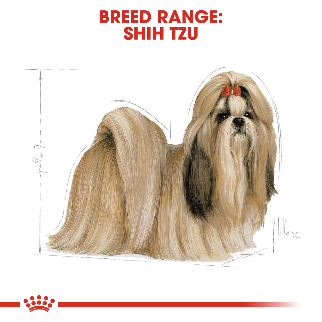 Royal Canin Dry Dog Food for Adult Shih Tzus