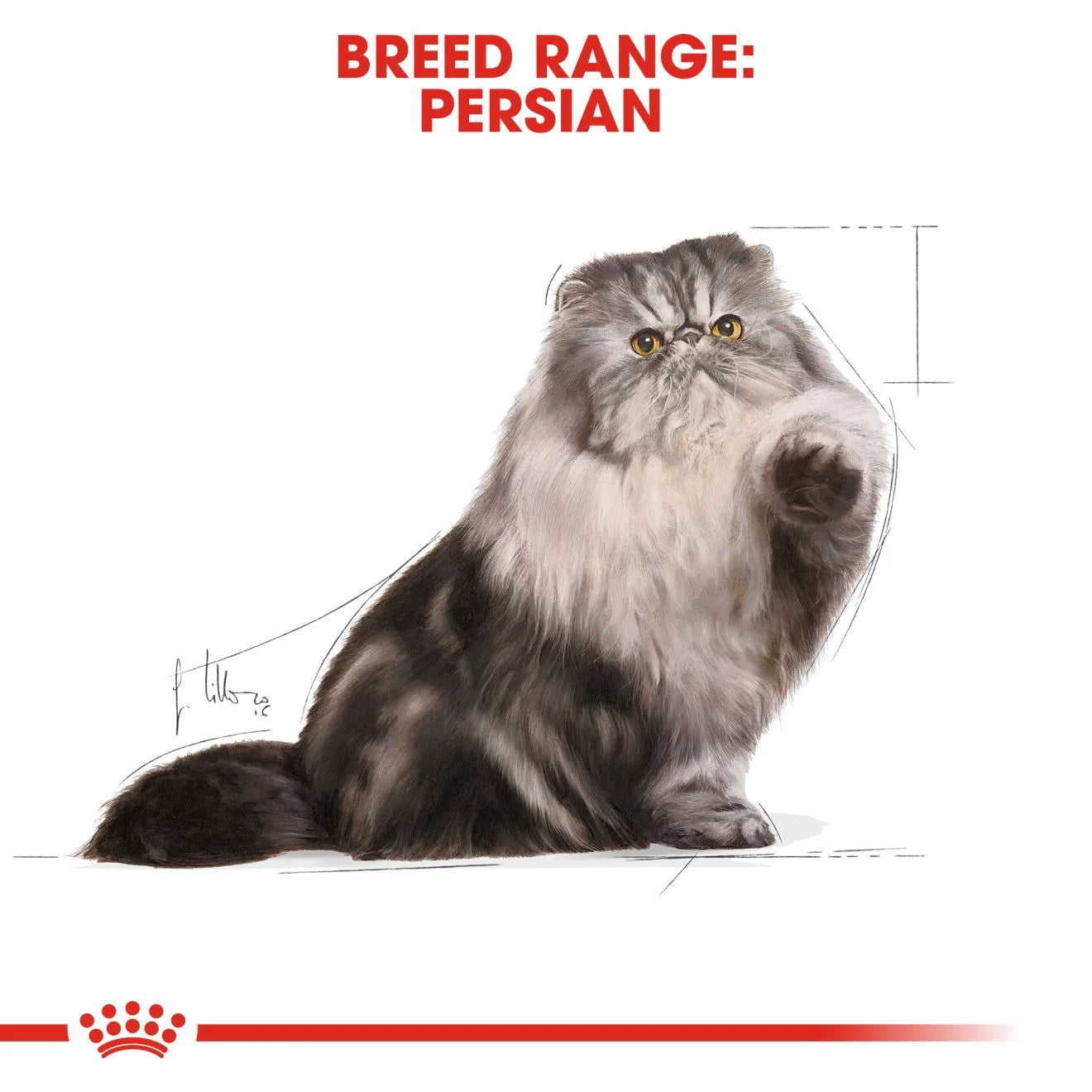 Royal Canin Wet Cat Food In Loaf for Adult Persian Cats, 85g