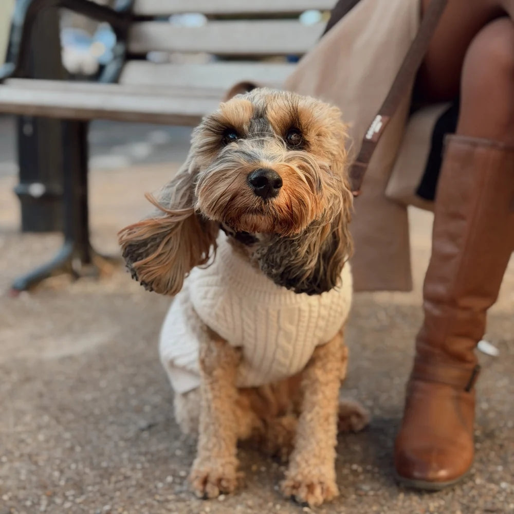 Cocopup White Mocha Cable Knit Dog Jumper, Medium