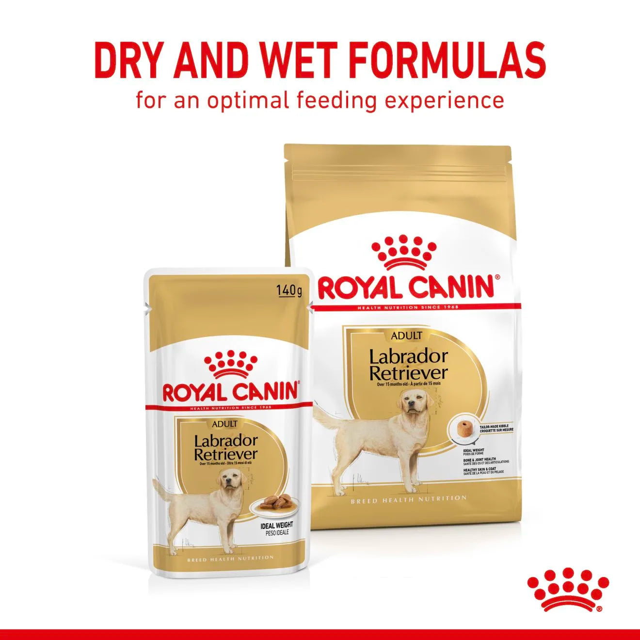 Royal Canin Wet Dog Food Chunks In Gravy for Adult Labrador Retrievers, 140g