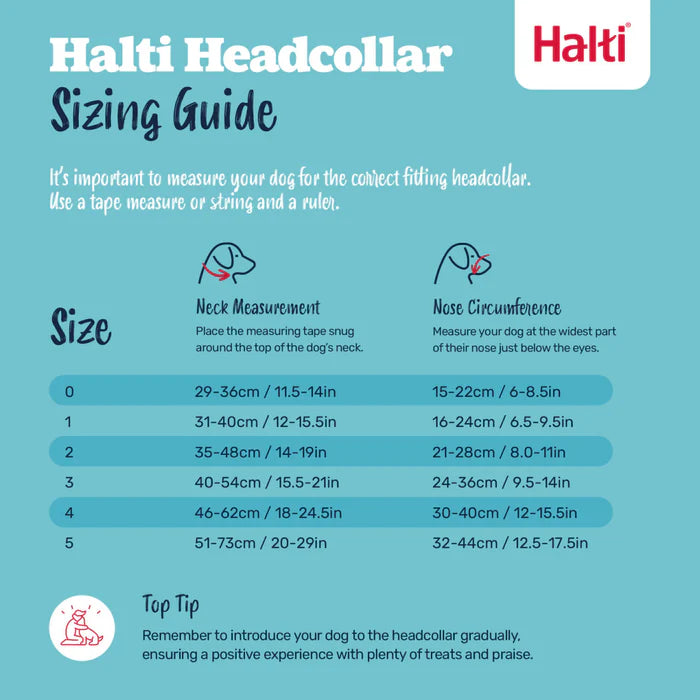 Halti Train Headcollar, Black