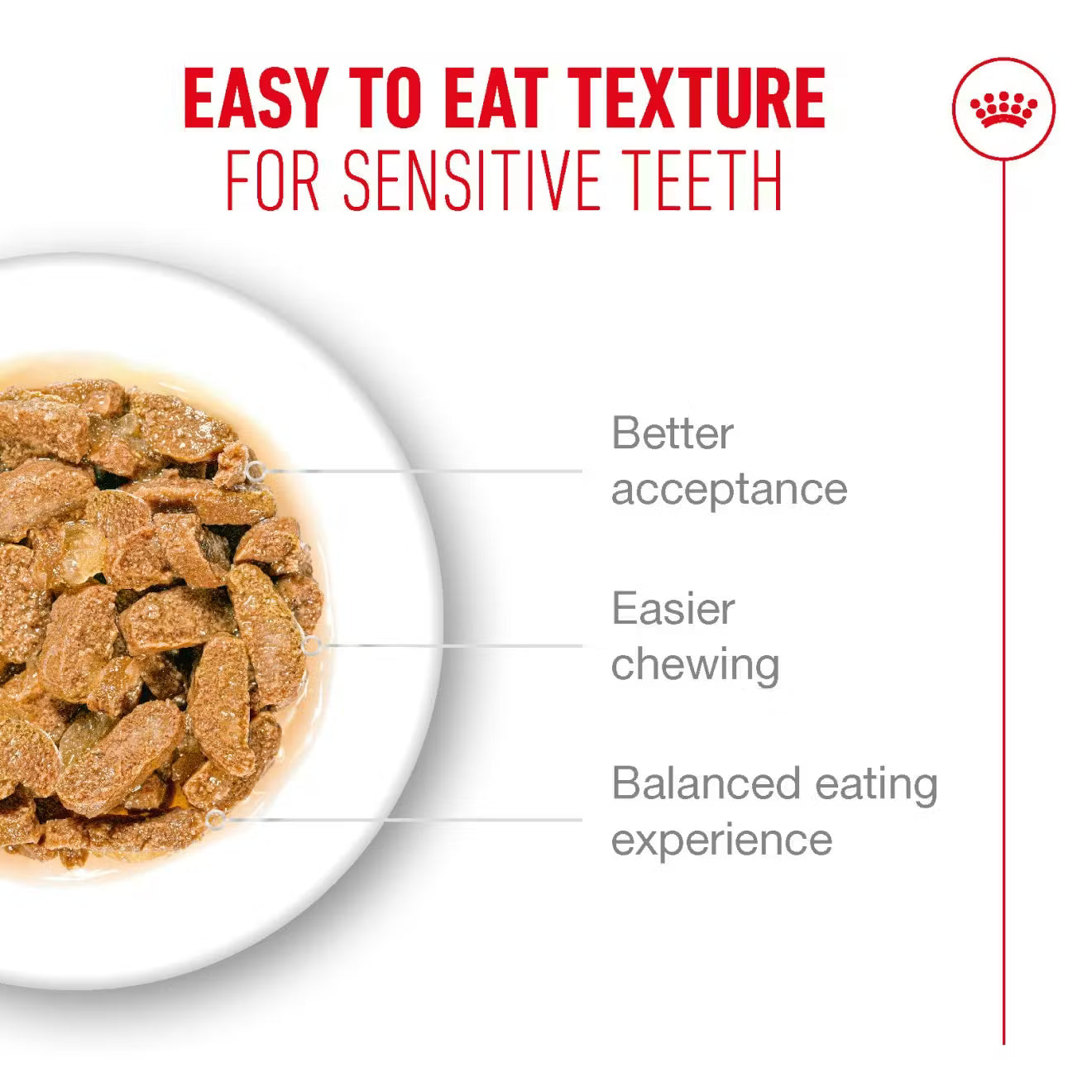 Royal Canin Ageing 11+ Wet Cat Food Chunks in Jelly for Senior Cats, 85g